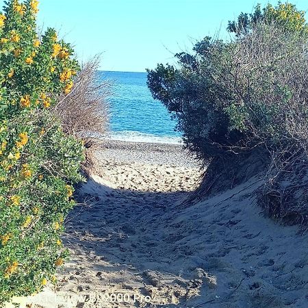 Mer Et Dune - Les Caravelles Saint-Cyprien  Ngoại thất bức ảnh